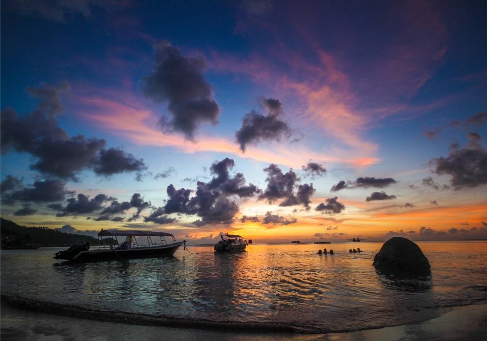 A snowy rocky outcrop in the middle of a forest